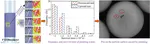 Analysis on the mechanical jamming of particle flow using impeller-based rheometer